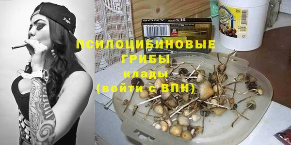 дурь Надым